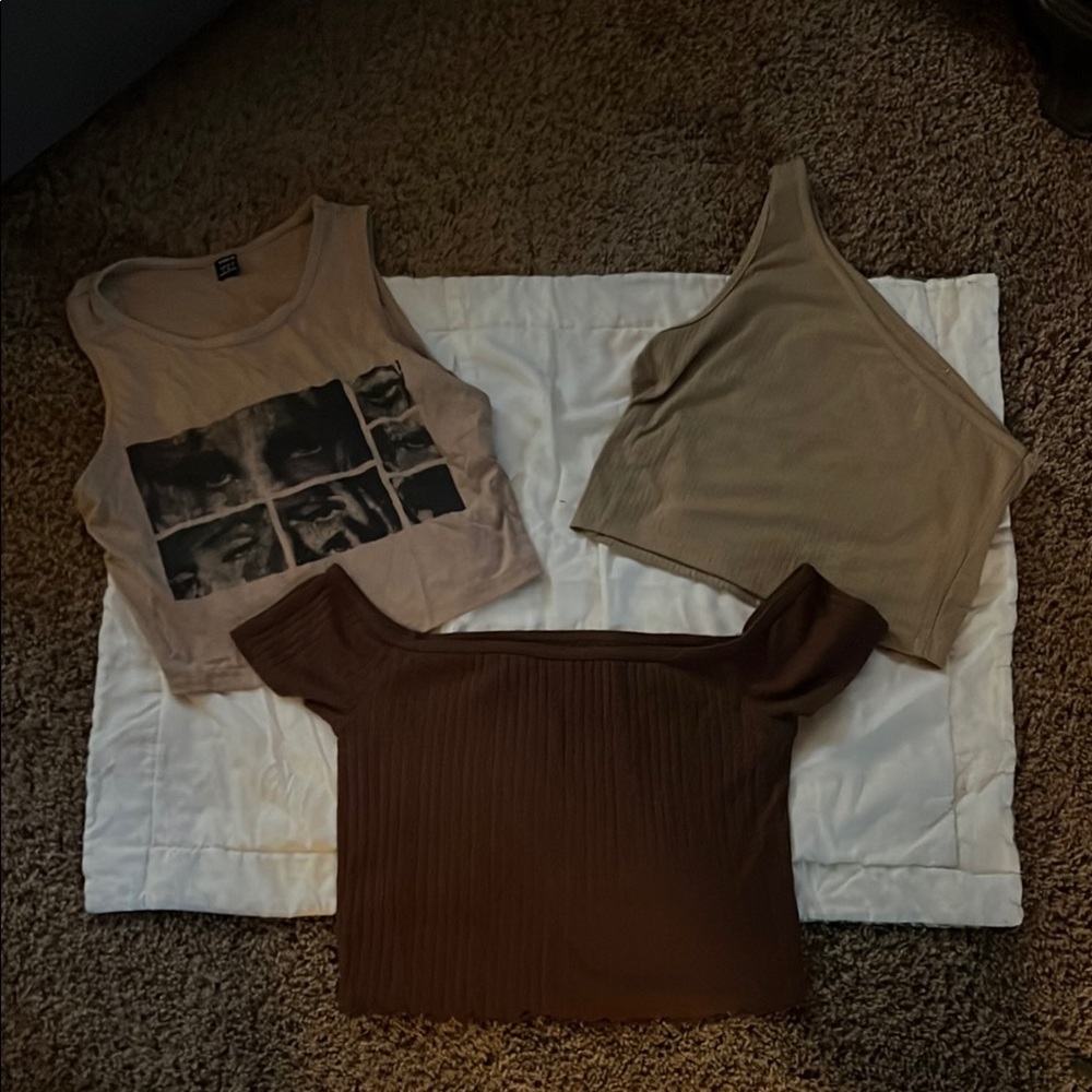 Trendy Women's Tan and Brown Tops Set (lot of 3)